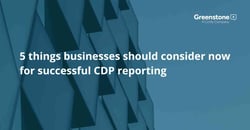 5 things businesses should consider now for successful CDP reporting
