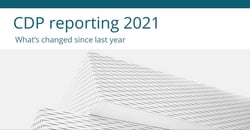 cdp-reporting-2021-blog-s
