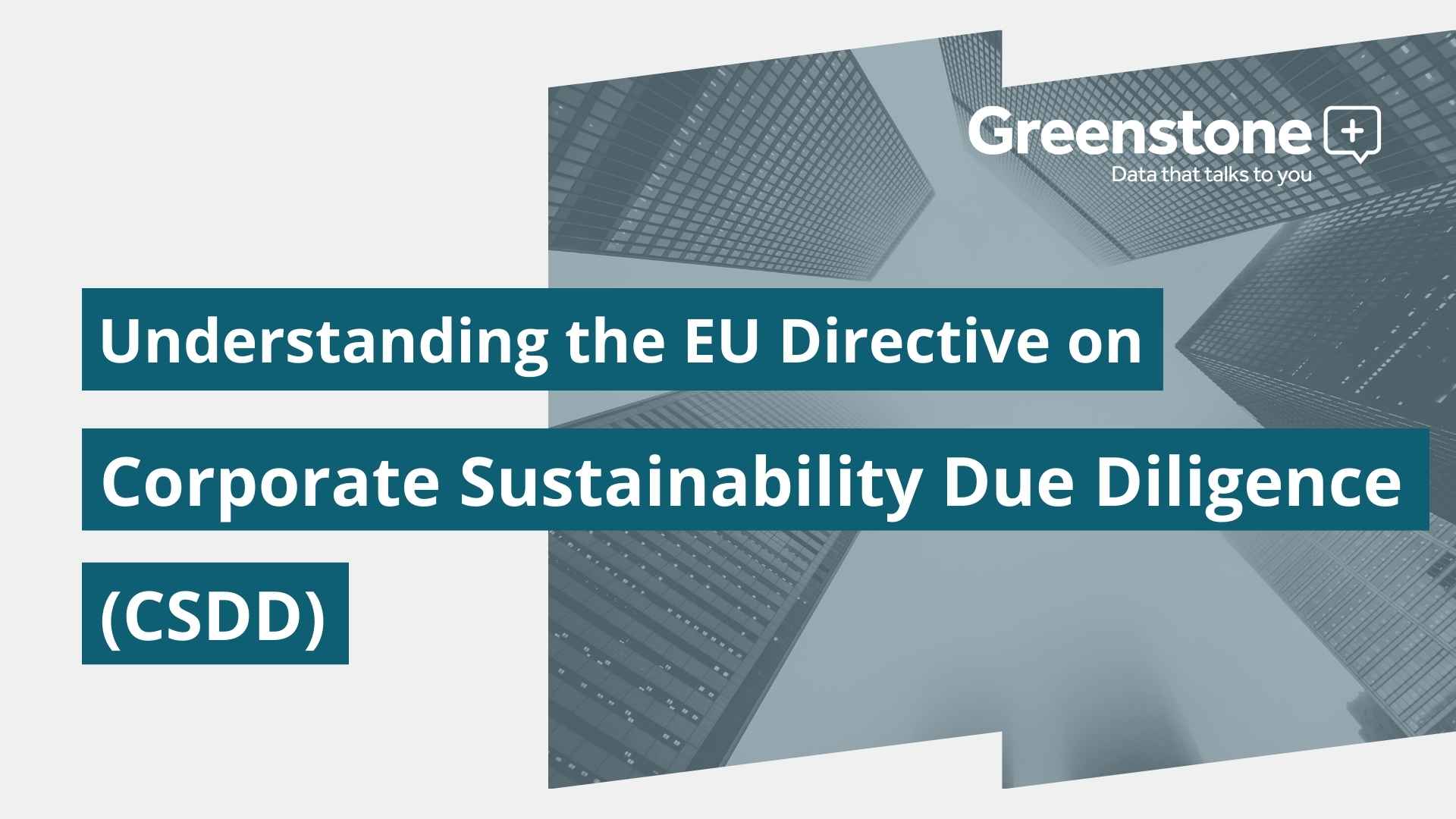Understanding EU's Directive on Corporate Sustainability Due Diligence