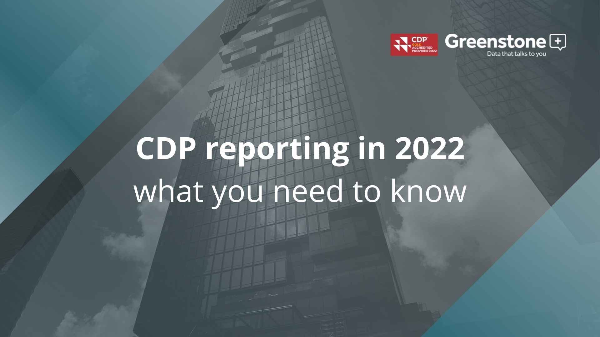 CDP reporting in 2022 – what you need to know