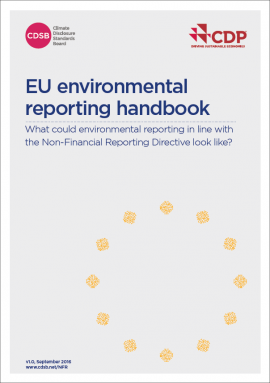 EU Non-Financial Reporting Directive – How companies make the most out of it