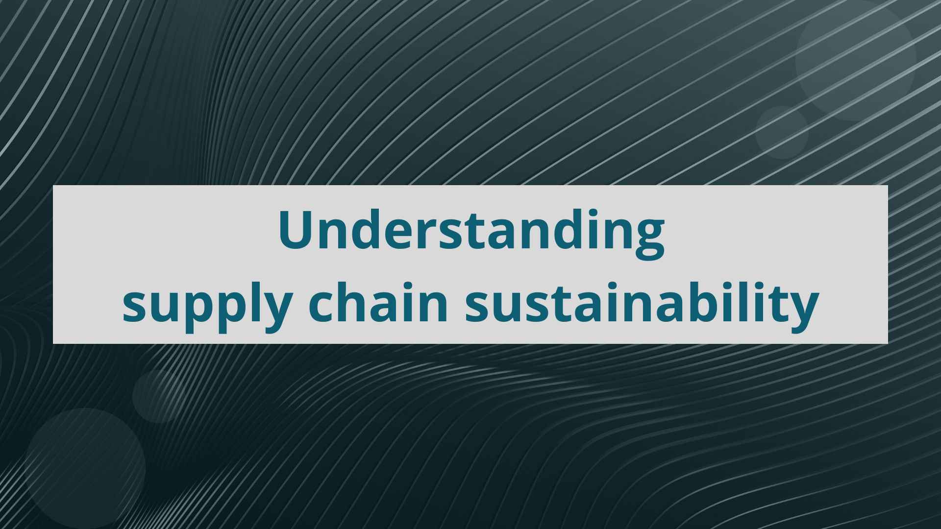 Understanding supply chain sustainability