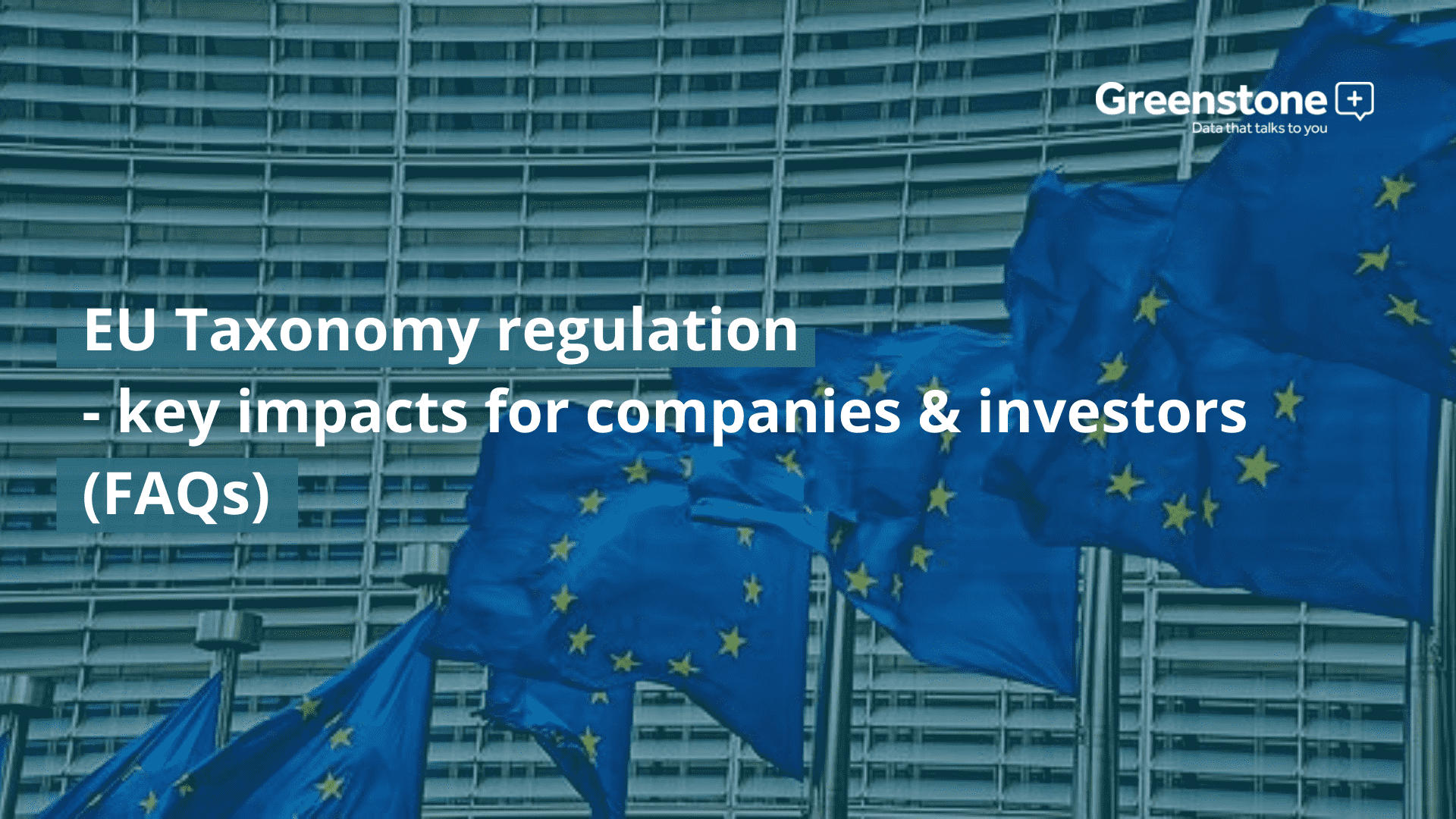 EU Taxonomy regulation – key impacts for companies & investors (FAQs)