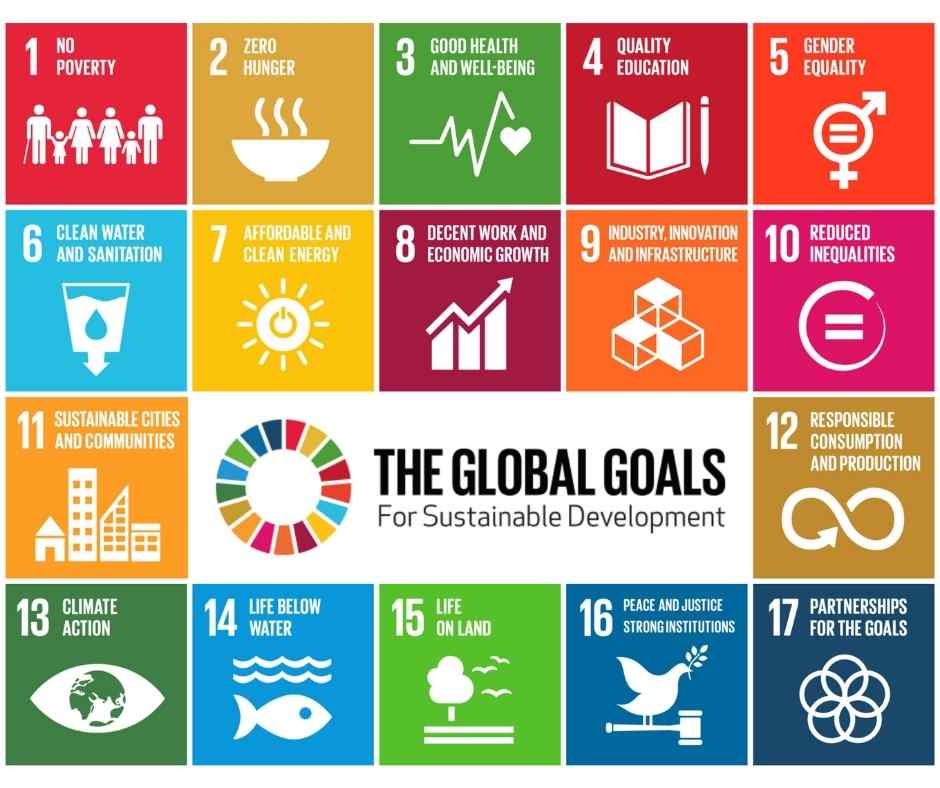 Business Initiatives Advance SDG Reporting, Engagement