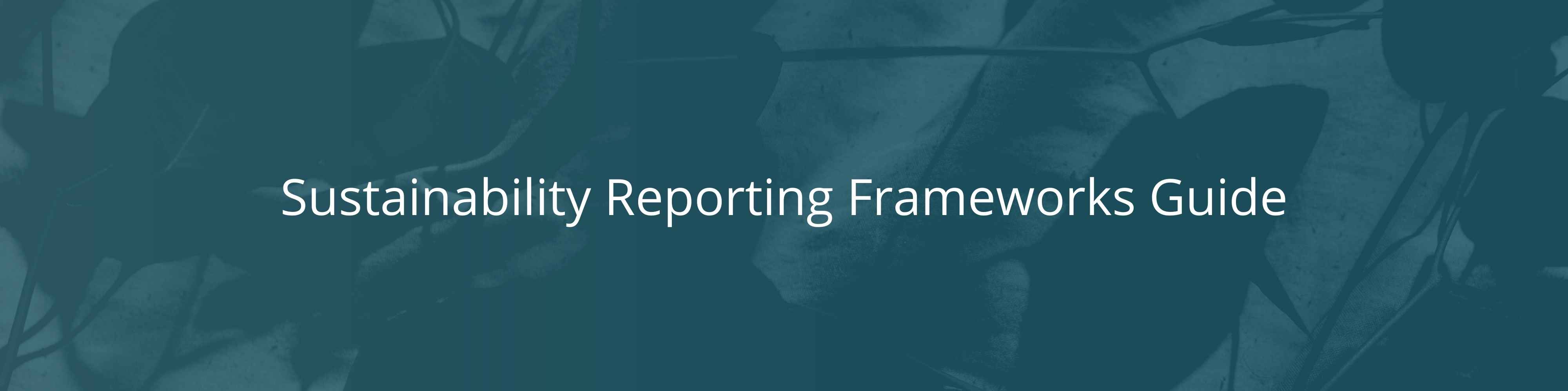 Sustainability Reporting Frameworks Guide